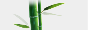 ¿À´ÃÀǿǮÀÌ ¿À´ÃÀǿǮÀÌ